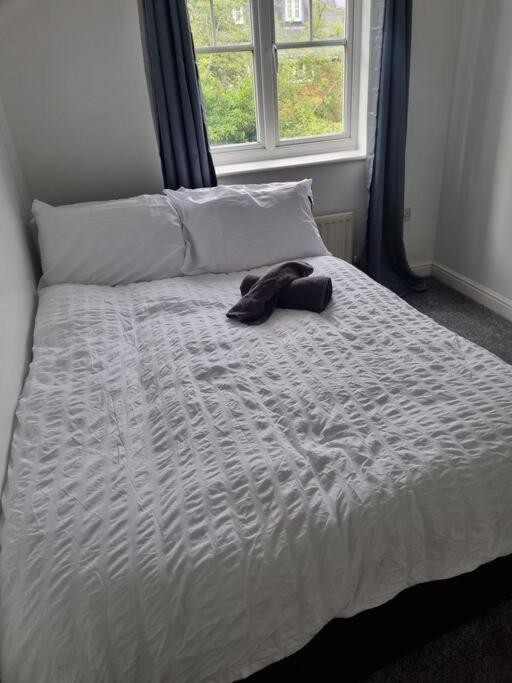 Maidstone Villa 3 Bedroom Free Sports Channels,Parking Sleeps 7 Zewnętrze zdjęcie