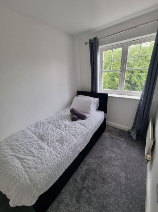 Maidstone Villa 3 Bedroom Free Sports Channels,Parking Sleeps 7 Zewnętrze zdjęcie